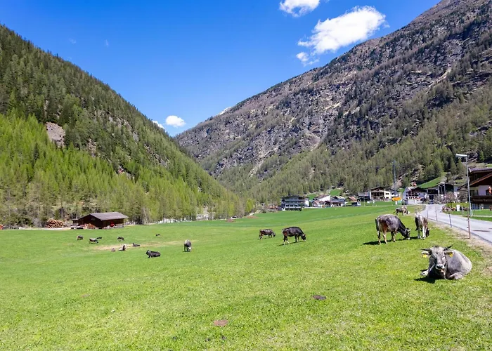 Apartament Gletschertraum